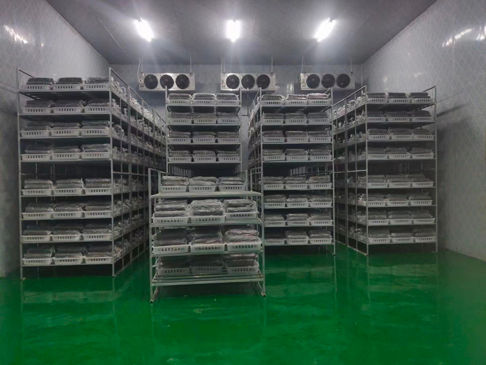 貴州華正現代農業開發有限責任公司