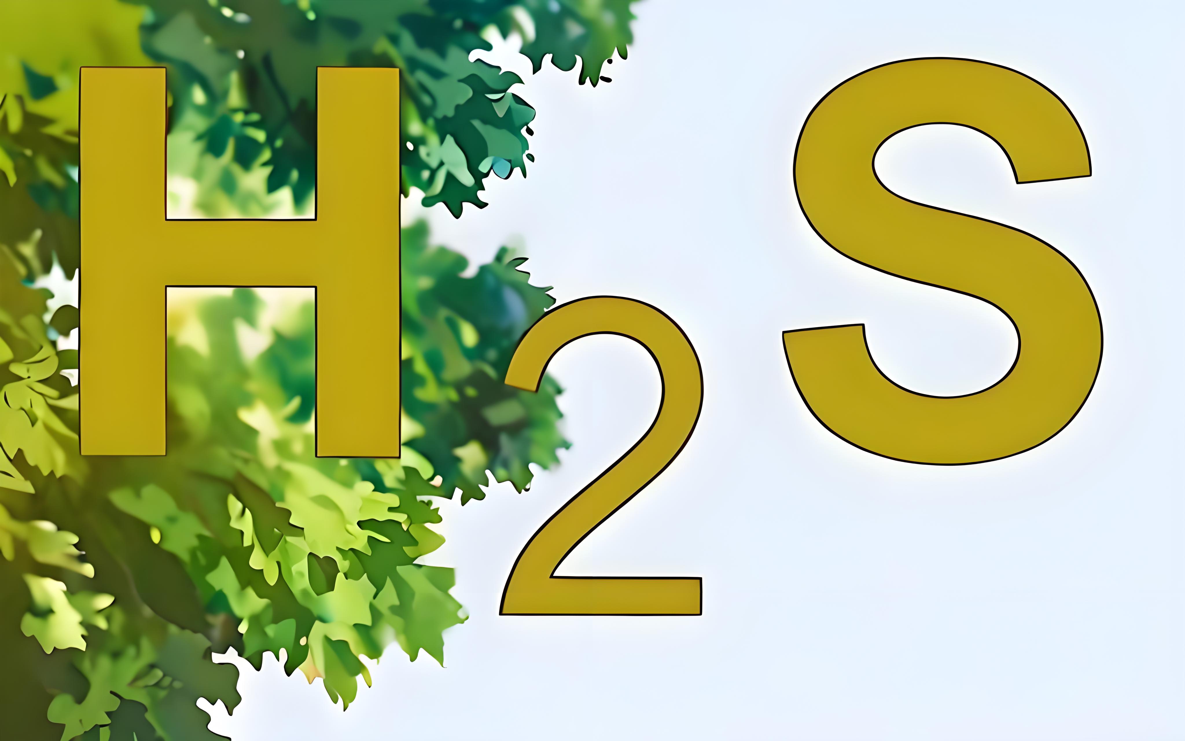 氣體檢測儀氫氣報(bào)警閾值和硫化氫的有什么區(qū)別？